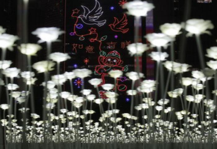 Taman Lampu Mawar Paling Romantis 